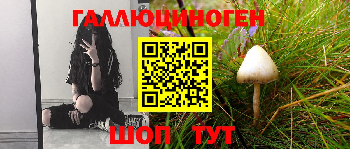 Псилоцибиновые грибы Psilocybe Мариинск